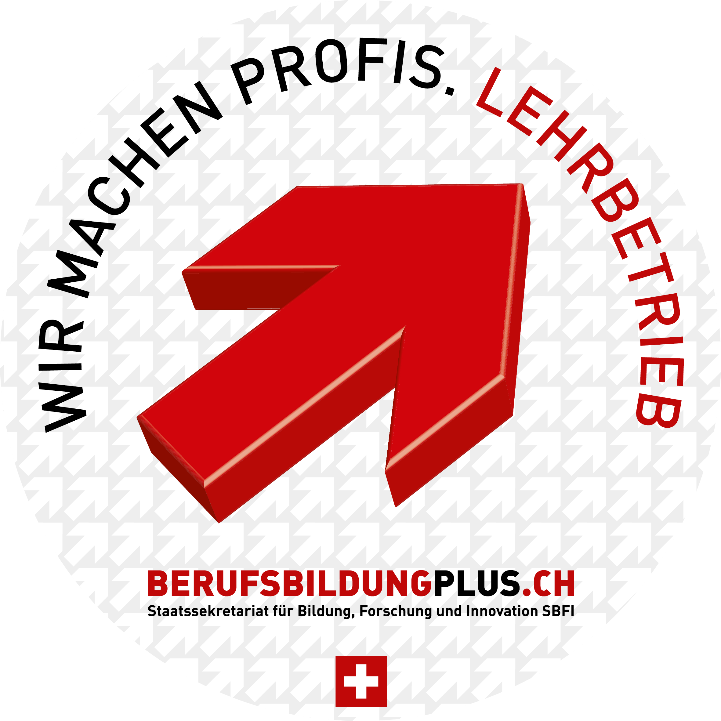 Wir machen Profis. Lehrbetrieb